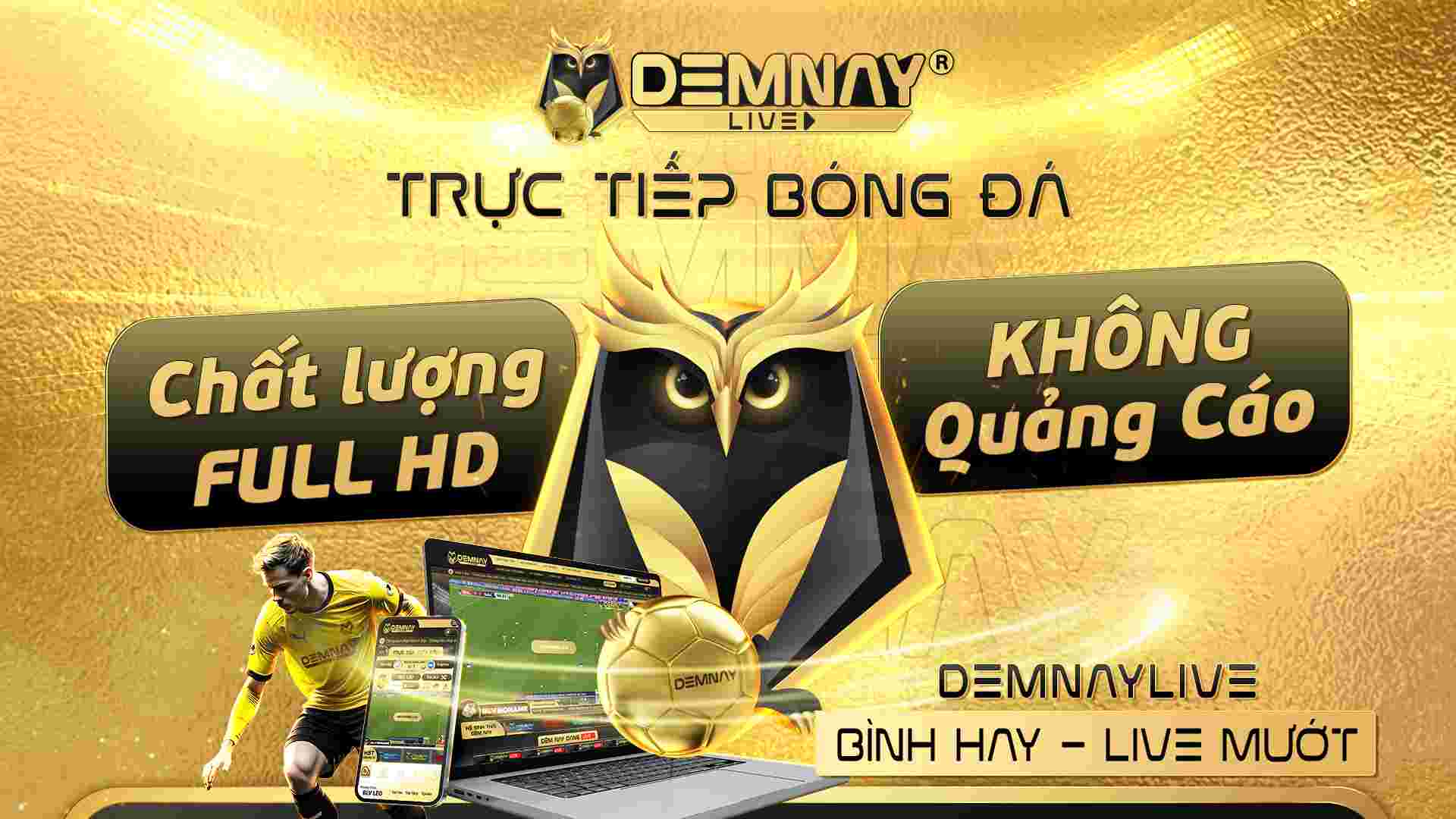 Thương hiệu Demnaylive